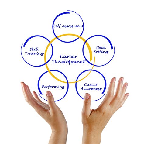 what is ppv|Career development 